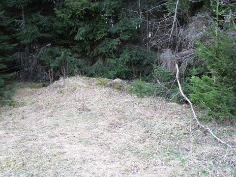Foto 41